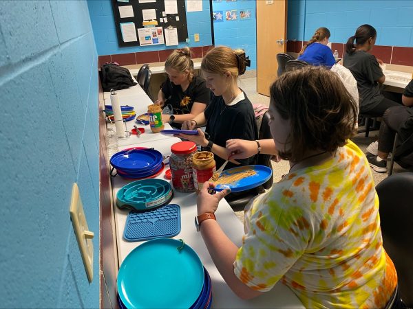 Thumbnail - How Urban Scientists Are Advancing Animal Welfare Across the Globe